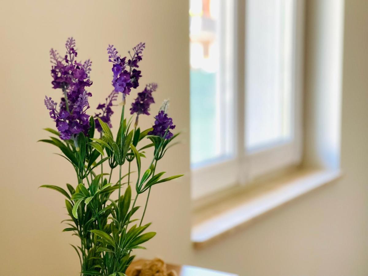Dwie Sowy By Baltic Home Miedzyzdroje Kültér fotó