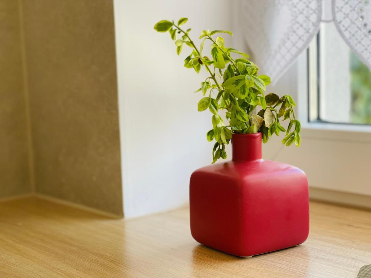Dwie Sowy By Baltic Home Miedzyzdroje Kültér fotó